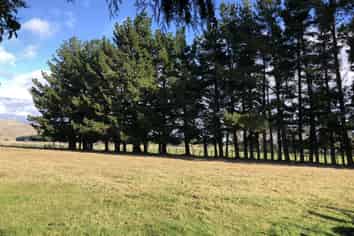  Station Road, Makotuku, Norsewood