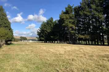  Station Road, Makotuku, Norsewood