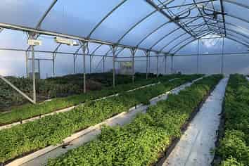 191A Ripponvale Road, Cromwell