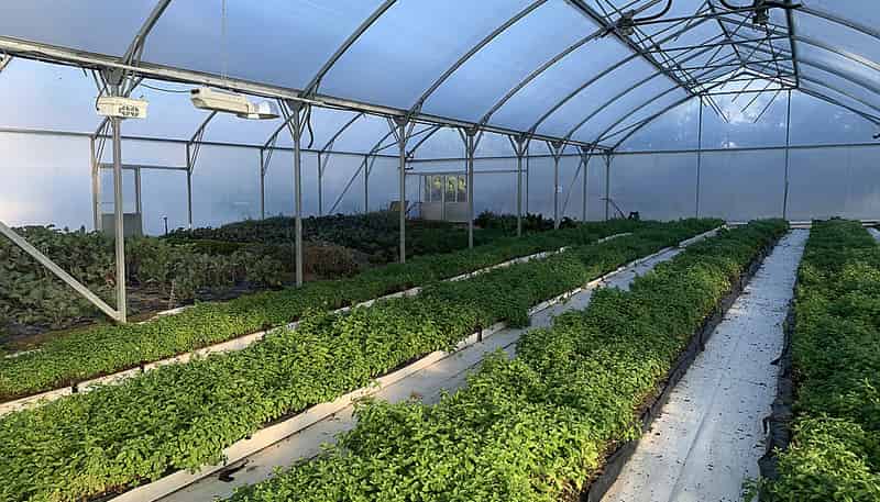 191A Ripponvale Road, Cromwell