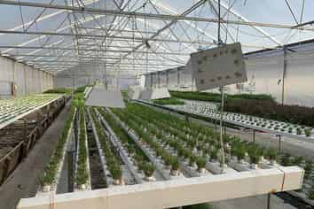 191A Ripponvale Road, Cromwell