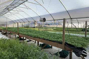 191A Ripponvale Road, Cromwell