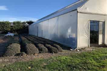 191A Ripponvale Road, Cromwell