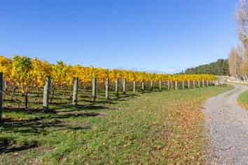 Lot 6 Vineyard Lane, Martinborough
