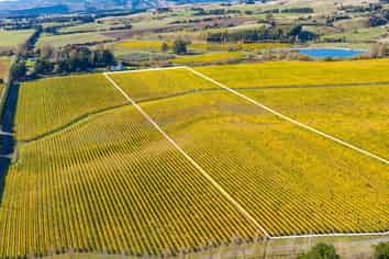 Lot 6 Vineyard Lane, Martinborough