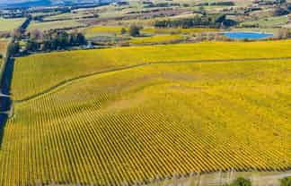 Lot 6 Vineyard Lane, Martinborough