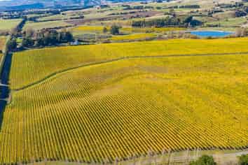 Lot 6 Vineyard Lane, Martinborough
