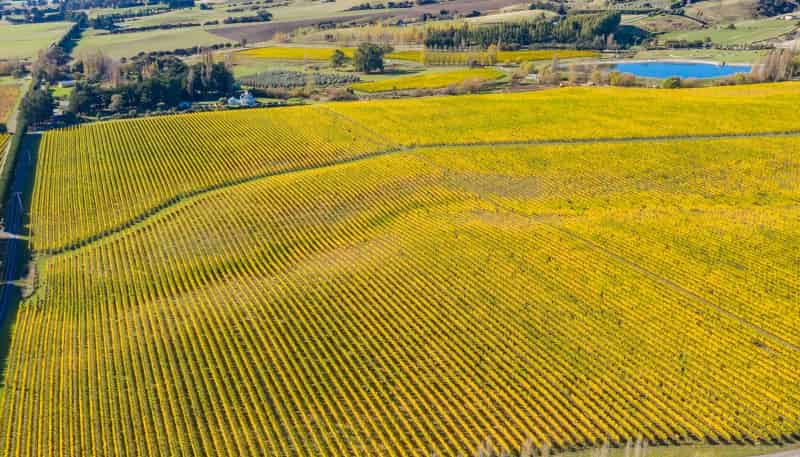 Lot 6 Vineyard Lane, Martinborough