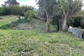 15A Roberton Road, Avondale