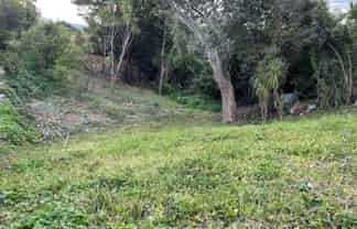 15A Roberton Road, Avondale