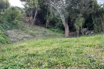 15A Roberton Road, Avondale