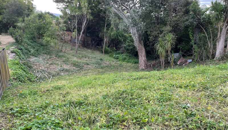 15A Roberton Road, Avondale