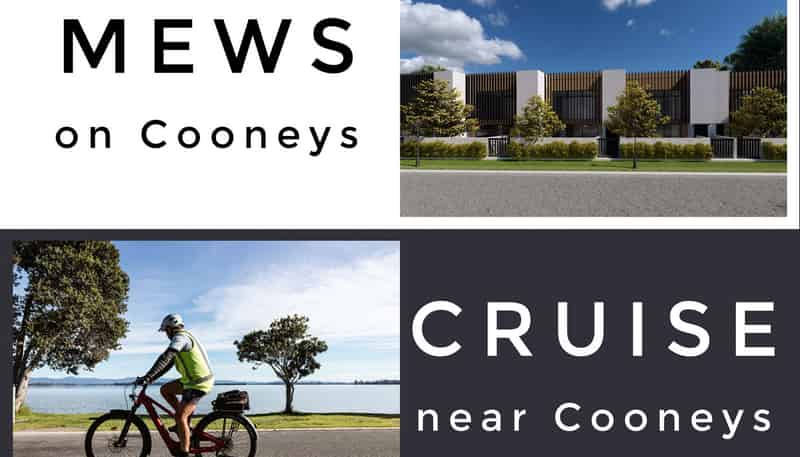 3/2 Cooneys Drive, Matua