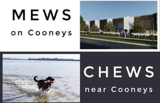 2/2 Cooneys Drive, Matua