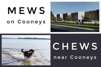 2/2 Cooneys Drive, Matua