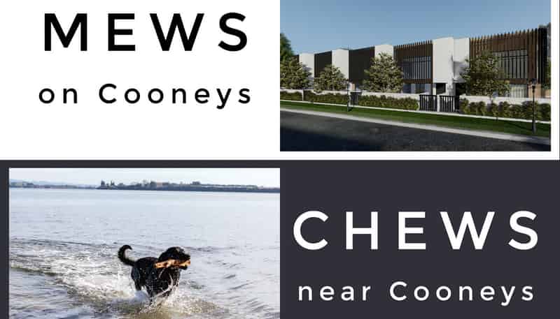 2/2 Cooneys Drive, Matua