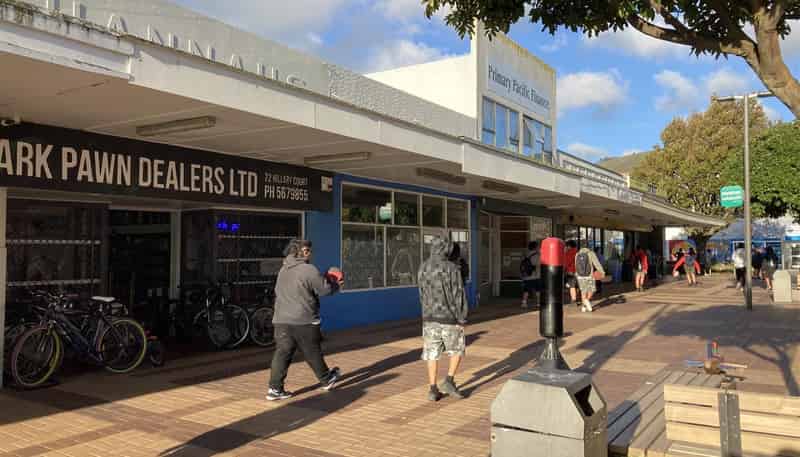 21 Hillary Court, Naenae