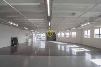 Industrial style in Mount Eden