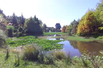 1555A State Highway 2, Whakamarama