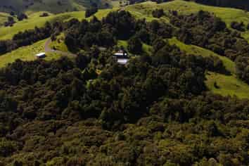 341 Irvine Road, Kokopu