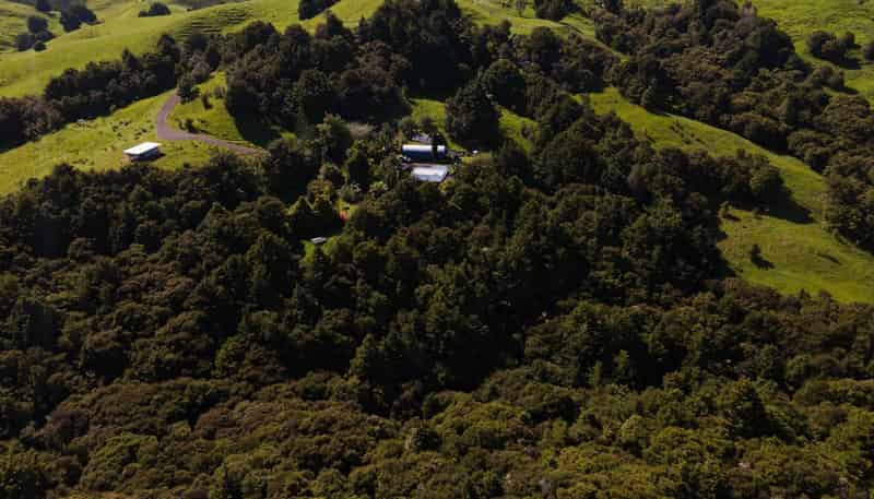 341 Irvine Road, Kokopu