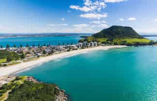 Professional Cleaning Business