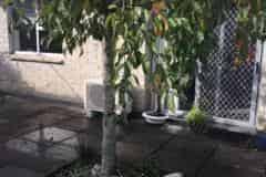 3/58 Wellington Street, Howick