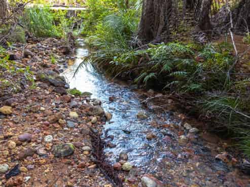 C/156 Silverstream Falls Row, Whenuakite