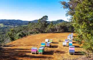 C/156 Silverstream Falls Row, Whenuakite