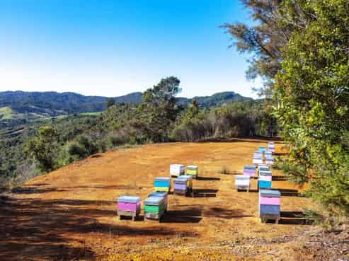 C/156 Silverstream Falls Row, Whenuakite