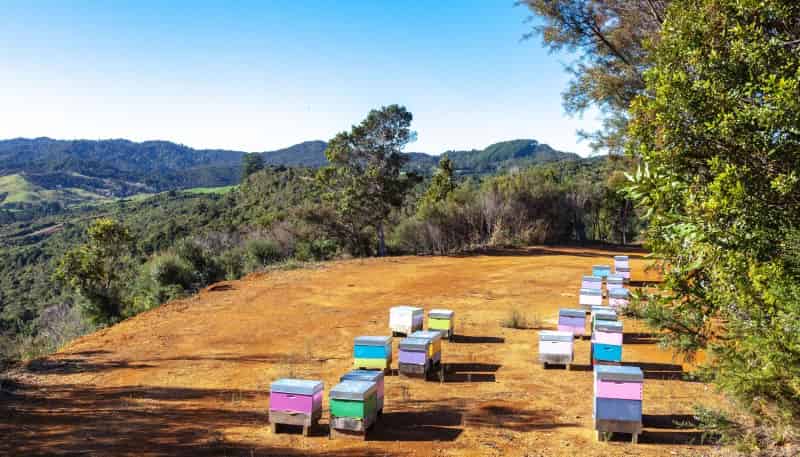 C/156 Silverstream Falls Row, Whenuakite