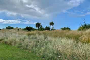 9 Nunu Drive, Carterton