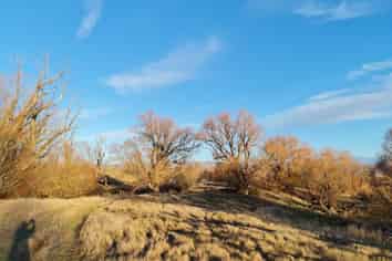 26 Gartley Lane, Alexandra