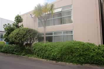 Ground Level Albany Office/Showroom 50m2