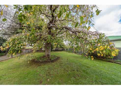 6  Grey Street, Feilding