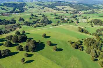 4283 State Highway 12, Dargaville Surrounds