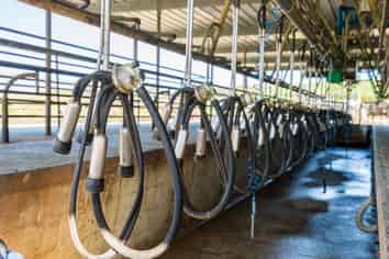 4283 State Highway 12, Dargaville Surrounds