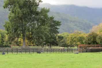 273 Stanley Road South, Te Aroha