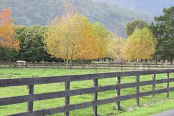 273 Stanley Road South, Te Aroha