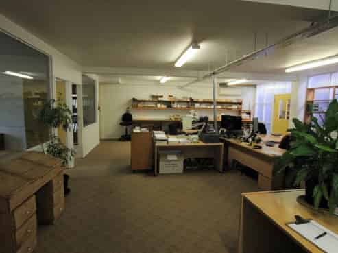 Golden Opportunity in Mt Eden