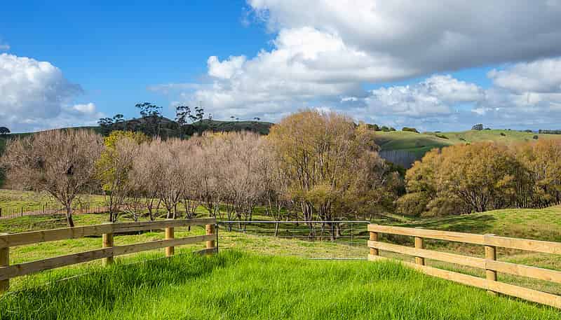 Lot 2 Oruawharo Road, Topuni