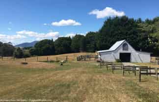 Lots 2 & 3/170  Mapara Rd, Acacia Bay