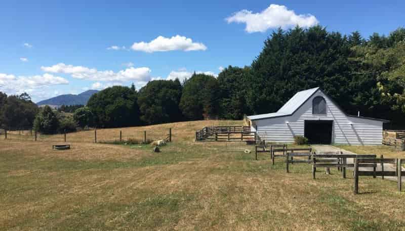 Lots 2 & 3/170  Mapara Rd, Acacia Bay