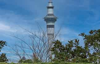 1/12 New Street, Saint Marys Bay