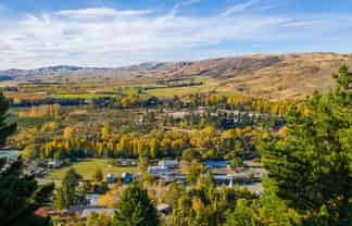 Fir Tree F Branxholm Street, 