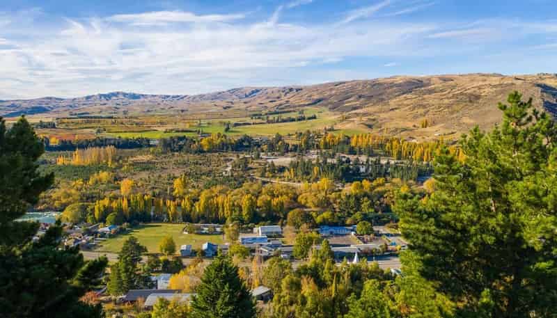 Fir Tree F Branxholm Street, 