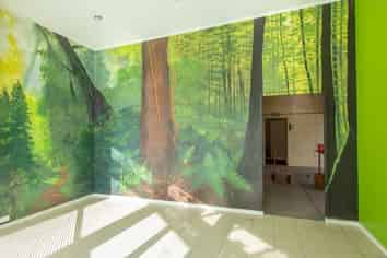 Create wonders in this space! 