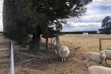 Lot 8 Quinlivan Street, Hawarden