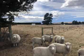 Lot 8 Quinlivan Street, Hawarden