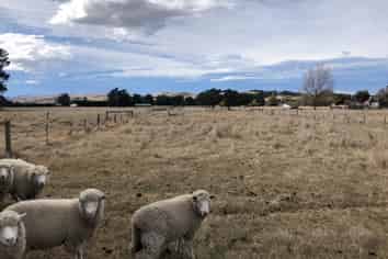 Lot 8 Quinlivan Street, Hawarden